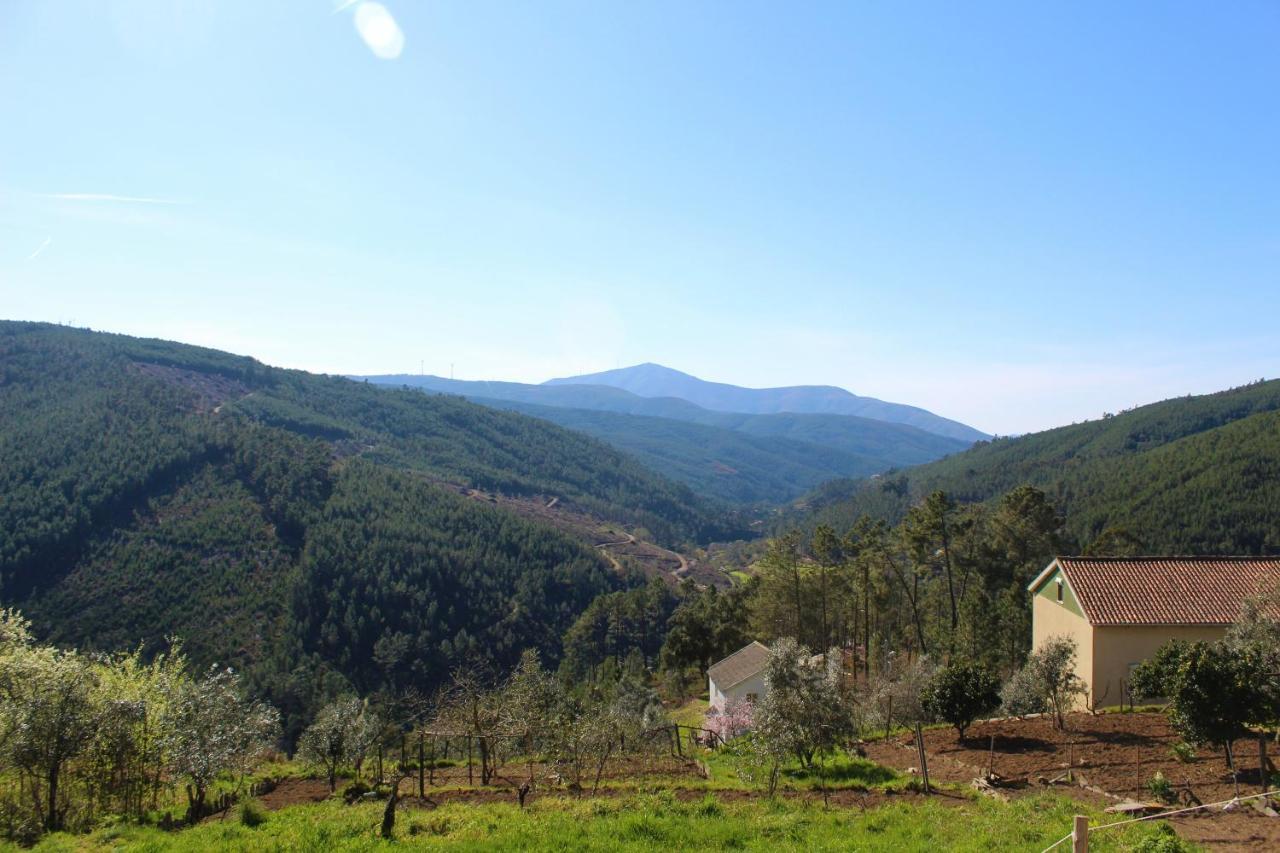 Casa Do Avo Βίλα Vasco Esteves de Baixo Εξωτερικό φωτογραφία