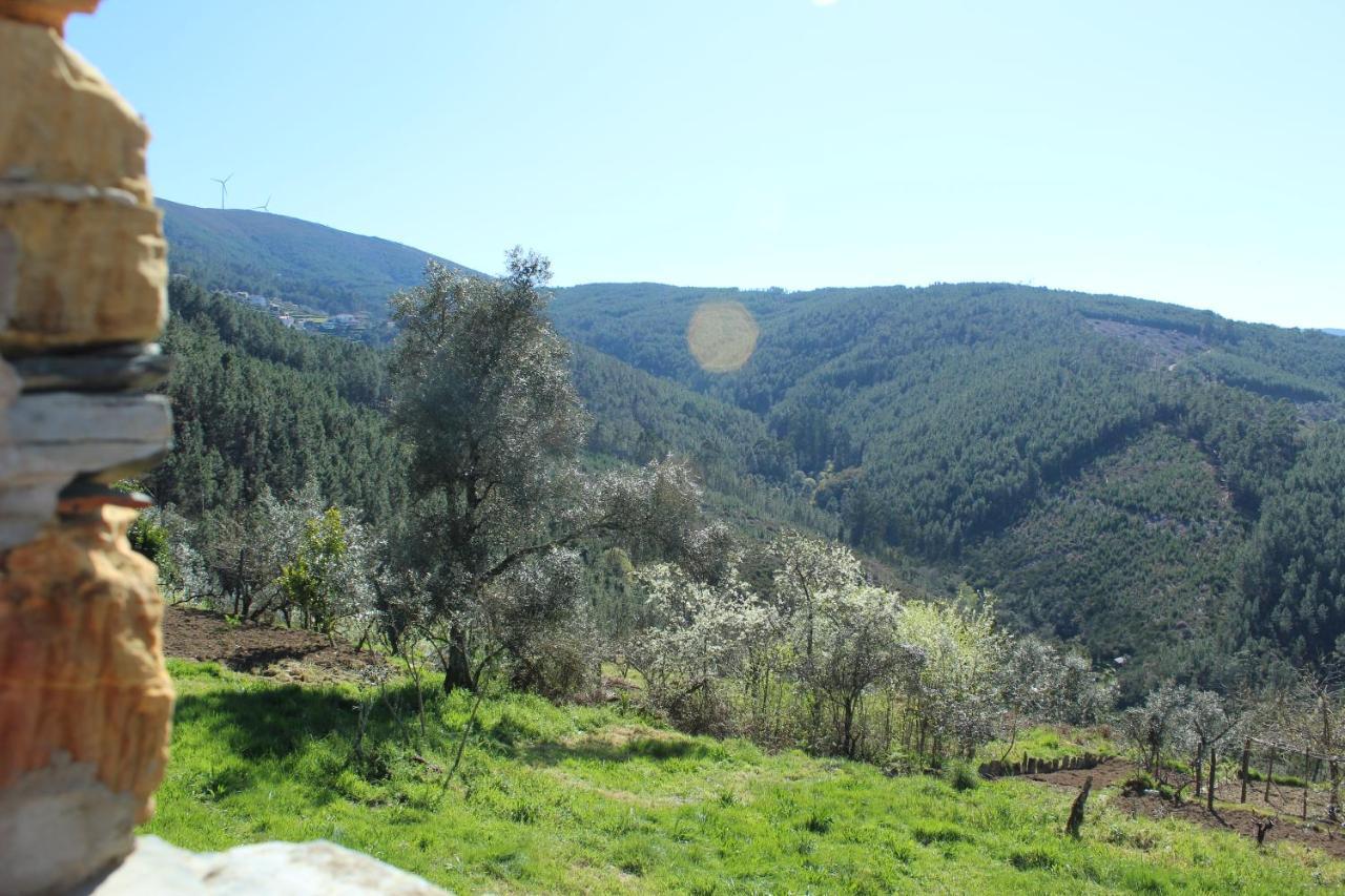 Casa Do Avo Βίλα Vasco Esteves de Baixo Εξωτερικό φωτογραφία
